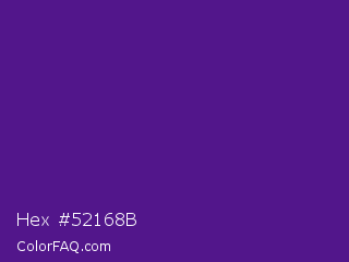 Hex #52168b Color Image