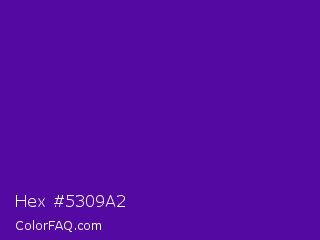Hex #5309a2 Color Image