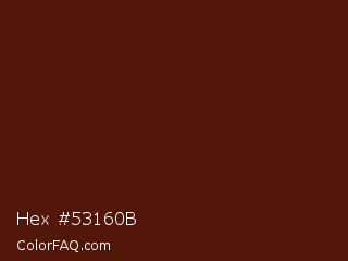 Hex #53160b Color Image