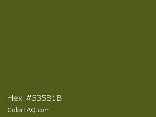 Hex #535b1b Color Image