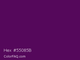 Hex #55085b Color Image