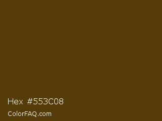 Hex #553c08 Color Image