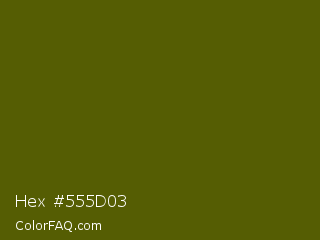 Hex #555d03 Color Image