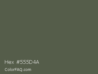Hex #555d4a Color Image