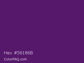Hex #56186b Color Image