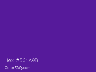 Hex #561a9b Color Image