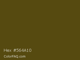 Hex #564a10 Color Image