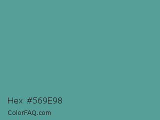 Hex #569e98 Color Image