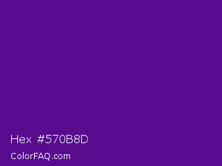 Hex #570b8d Color Image