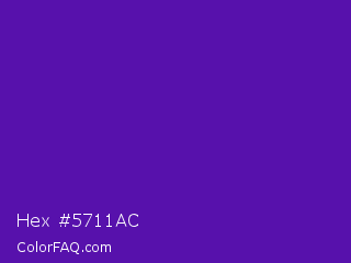 Hex #5711ac Color Image