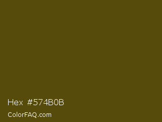 Hex #574b0b Color Image
