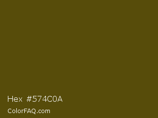 Hex #574c0a Color Image