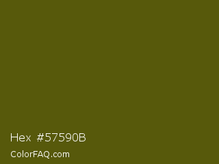 Hex #57590b Color Image