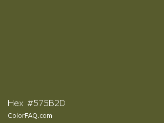 Hex #575b2d Color Image