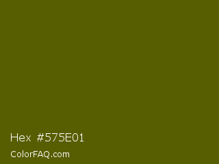 Hex #575e01 Color Image