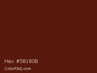 Hex #58180b Color Image