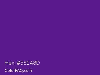 Hex #581a8d Color Image