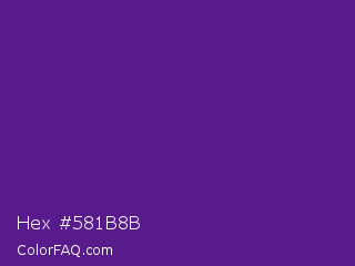 Hex #581b8b Color Image