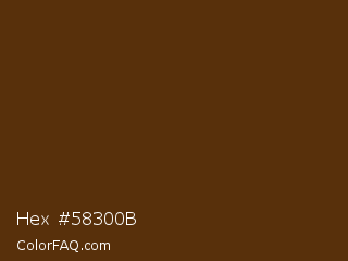 Hex #58300b Color Image