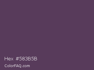 Hex #583b5b Color Image