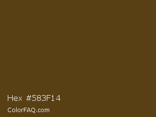 Hex #583f14 Color Image