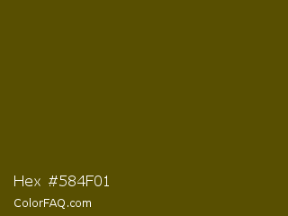 Hex #584f01 Color Image