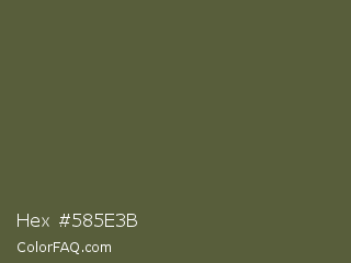 Hex #585e3b Color Image