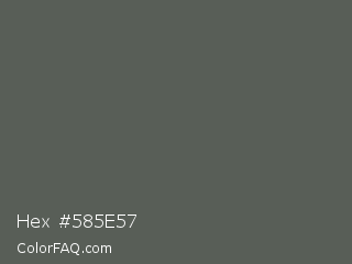 Hex #585e57 Color Image