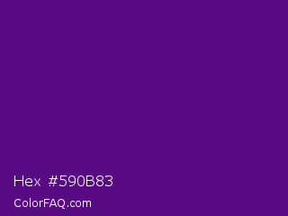 Hex #590b83 Color Image