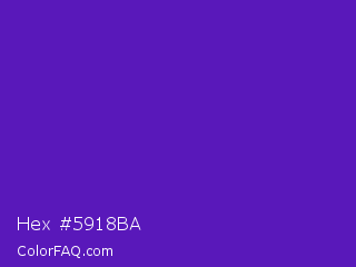 Hex #5918ba Color Image