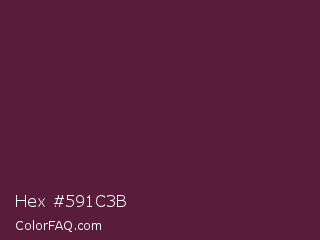 Hex #591c3b Color Image