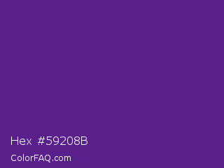 Hex #59208b Color Image