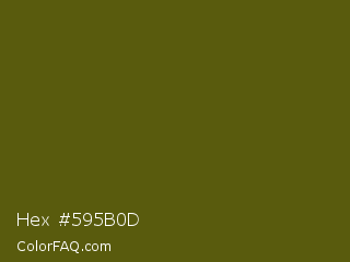 Hex #595b0d Color Image