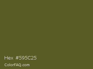 Hex #595c25 Color Image