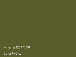 Hex #595d2b Color Image