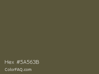 Hex #5a563b Color Image