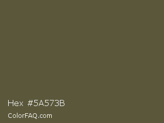 Hex #5a573b Color Image