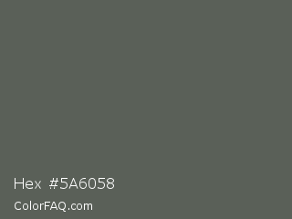 Hex #5a6058 Color Image