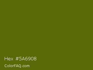 Hex #5a6908 Color Image