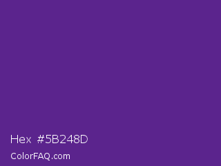 Hex #5b248d Color Image