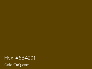 Hex #5b4201 Color Image