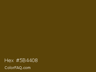 Hex #5b4408 Color Image