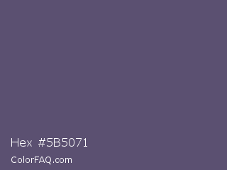 Hex #5b5071 Color Image