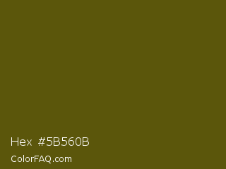 Hex #5b560b Color Image