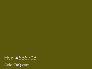 Hex #5b570b Color Image