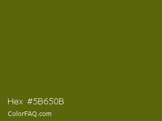 Hex #5b650b Color Image