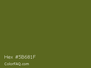 Hex #5b681f Color Image
