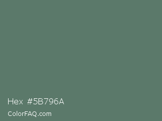 Hex #5b796a Color Image