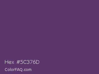 Hex #5c376d Color Image