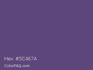 Hex #5c467a Color Image